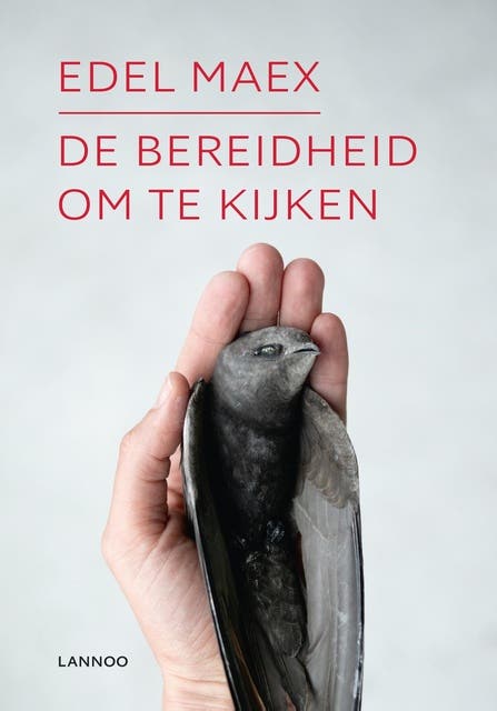 De bereidheid om te kijken
