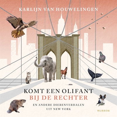 Komt een olifant bij de rechter – omslag van het luisterboek van Karlijn van Houwelingen