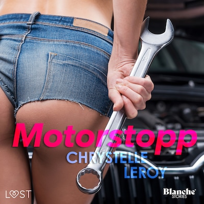 Motorstopp - erotisk novell