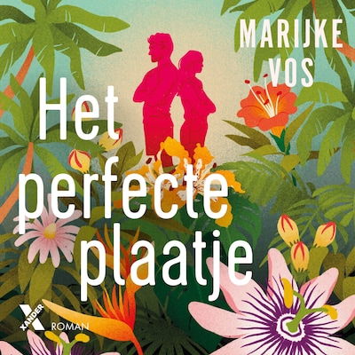 Het perfecte plaatje
