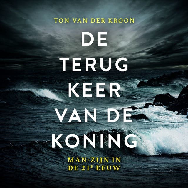 De terugkeer van de koning: Man-zijn in de 21e eeuw