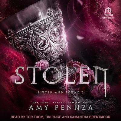 Stolen – omslag til lydbogen af Amy Pennza