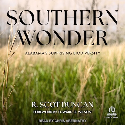 Southern Wonder – omslag til lydbogen af R. Scot Duncan