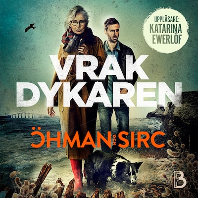 Vrakdykaren