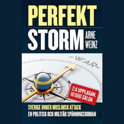 Perfekt storm – omslag till ljudboken av Arne Weinz