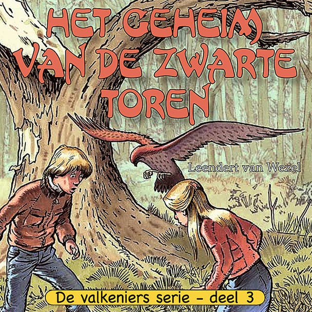 Het geheim van de zwarte toren – omslag van het luisterboek van Leendert van Wezel