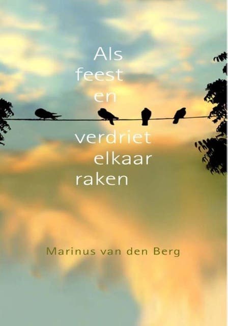 Als feest en verdriet elkaar raken – omslag van het luisterboek van Marinus van den Berg