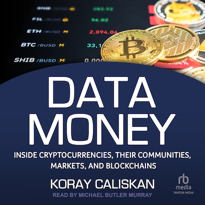 Data Money – omslag til lydbogen af Koray Caliskan