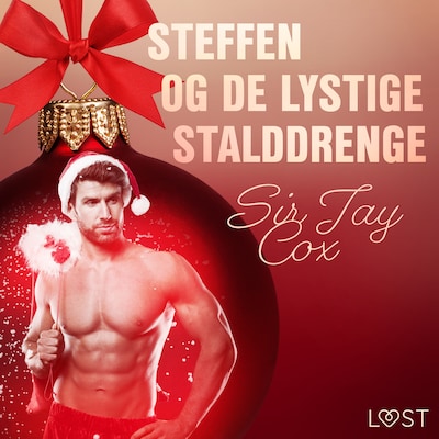 13. december: Steffen og de lystige stalddrenge – en erotisk julekalender – omslag til lydbogen af Sir Jay Cox