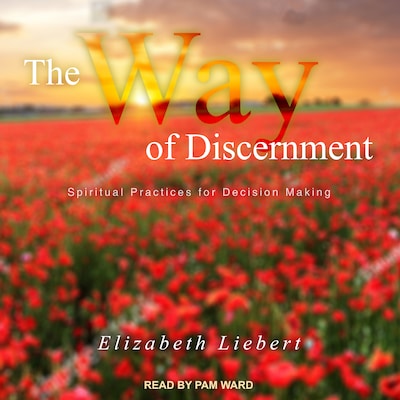 The Way of Discernment – omslag til lydbogen af Elizabeth Liebert