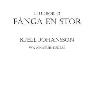 Fånga en Stor