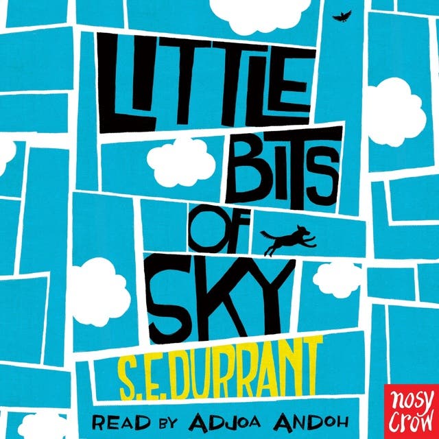 Little Bits of Sky – omslag til lydbogen af S E Durrant