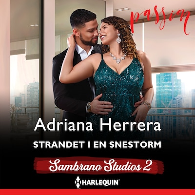 Strandet i en snestorm – omslag til lydbogen af Adriana Herrera