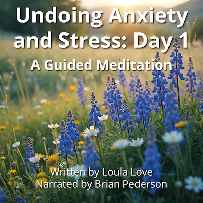 Undoing Anxiety and Stress: Day 1 – omslag til lydbogen af Loula Love