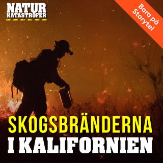 Skogsbränderna i Kalifornien