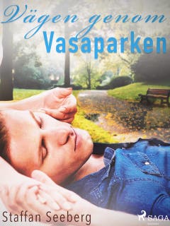 Vägen genom Vasaparken – omslag till ljudboken av Staffan Seeberg