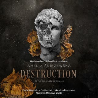 Destruction – okładka audiobooka, autor Amelia Śnieżewska