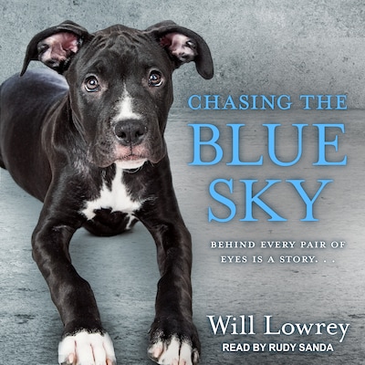 Chasing the Blue Sky – omslag til lydbogen af Will Lowrey