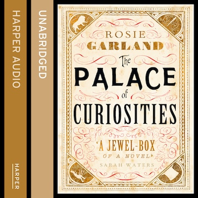 The Palace of Curiosities