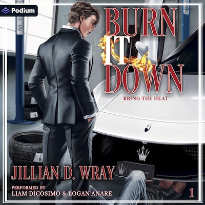 Burn It Down – omslag til lydbogen af Jillian D. Wray