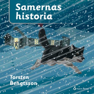 Samernas historia