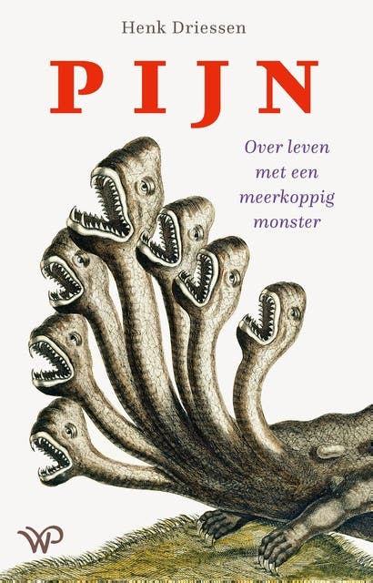 Pijn: Over leven met een meerkoppig monster – omslag van het luisterboek van Henk Driessen