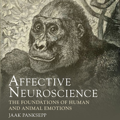 Affective Neuroscience