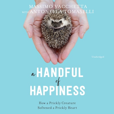 A Handful of Happiness – omslag til lydbogen af Massimo Vacchetta