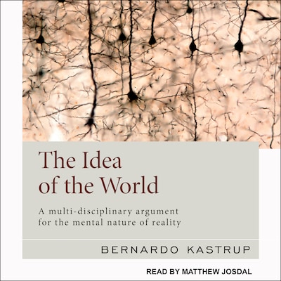 The Idea of the World – omslag til lydbogen af Bernardo Kastrup