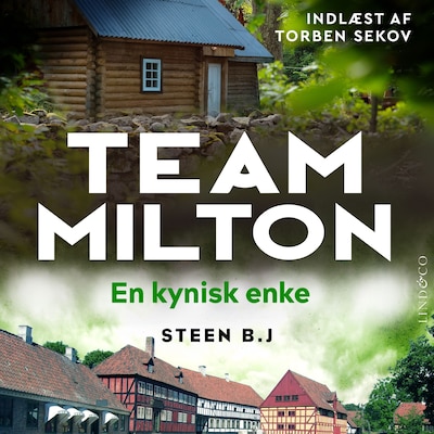 En kynisk enke – omslag til lydbogen af Steen B. J.