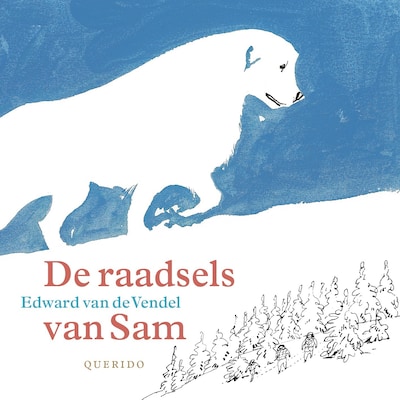 De raadsels van Sam
