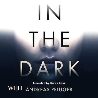 In the Dark – omslag til lydbogen af Andreas Pflüger