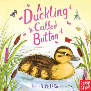 A Duckling Called Button