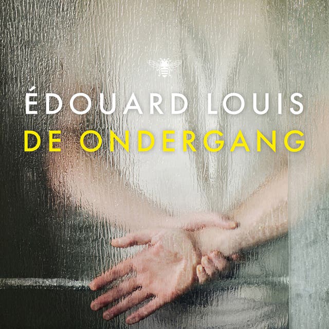 De ondergang