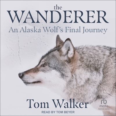 The Wanderer – omslag til lydbogen af Tom Walker