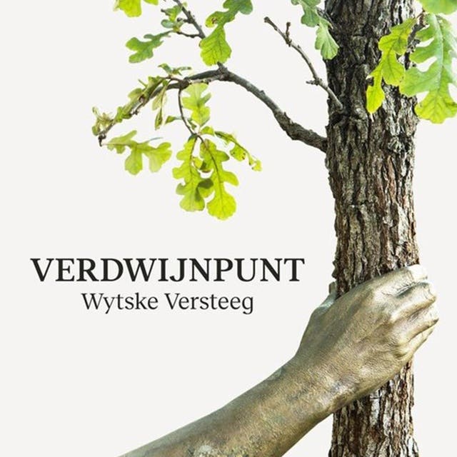 Verdwijnpunt