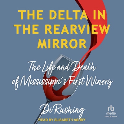 The Delta in the Rearview Mirror – omslag til lydbogen af Di Rushing