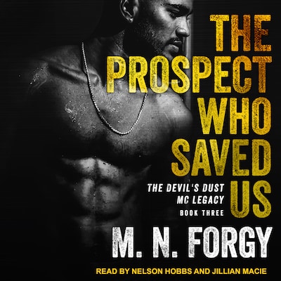 The Prospect Who Saved Us – omslag til lydbogen af M. N. Forgy