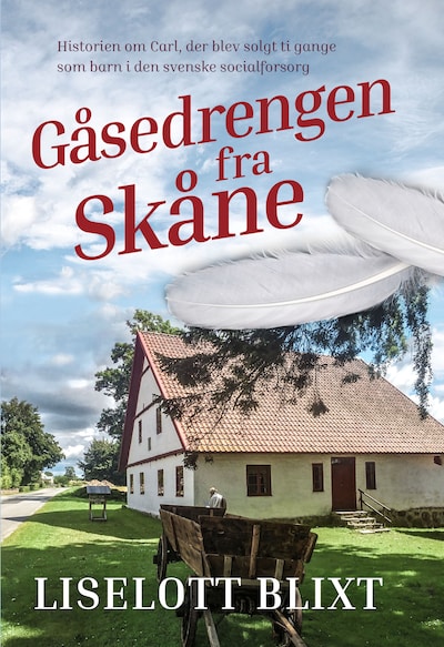 Gåsedrengen fra Skåne – omslag til lydbogen af Liselott Blixt