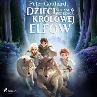 Dzieci królowej elfów 3 – Ścigani bez końca – okładka audiobooka, autor Peter Gotthardt