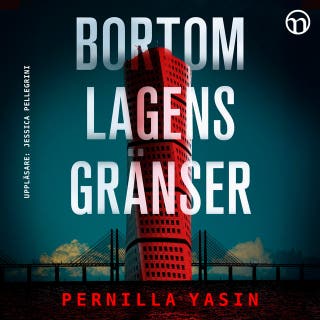 Bortom lagens gränser