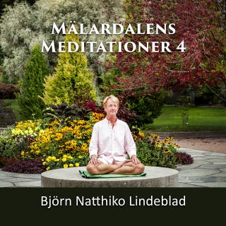 Mälardalens Meditationer 4