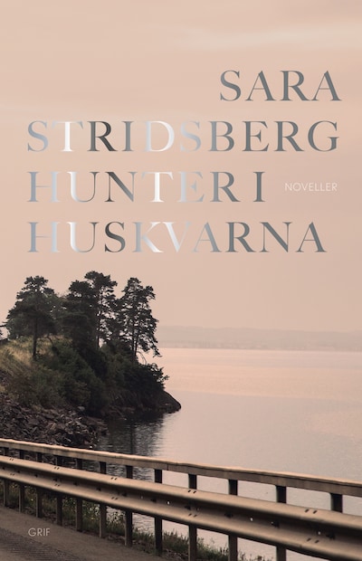 Hunter i Huskvarna – omslag til lydbogen af Sara Stridsberg