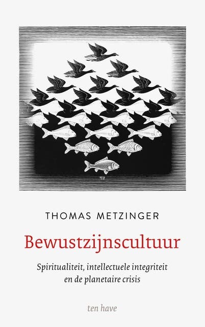 Bewustzijnscultuur: Spiritualiteit, intellectuele integriteit en de planetaire crisis – omslag van het luisterboek van Thomas Metzinger