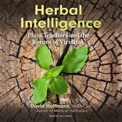 Herbal Intelligence – omslag til lydbogen af David Hoffmann