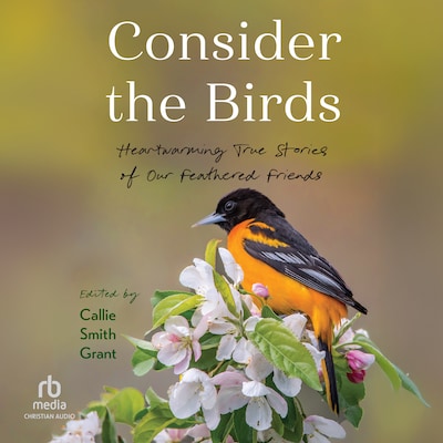 Consider the Birds – omslag til lydbogen af Unknown Author