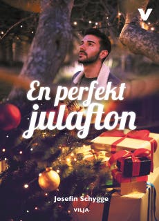 En perfekt julafton