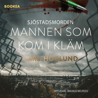 Sjöstadsmorden : mannen som kom i kläm