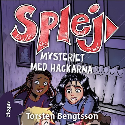 Mysteriet med hackarna