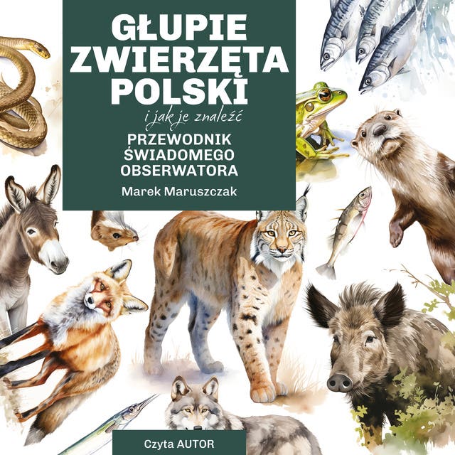 Głupie zwierzęta Polski i jak je znaleźć. Przewodnik świadomego obserwatora